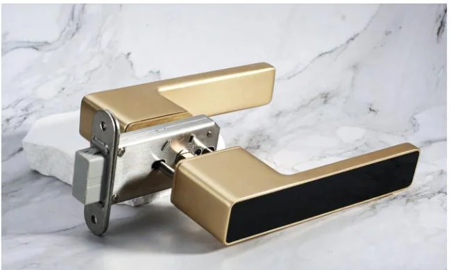 Door lever