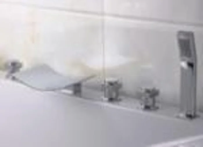 Bath or shower fitting